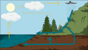 The Water Cycle Diagram The Water Cycle Activities
