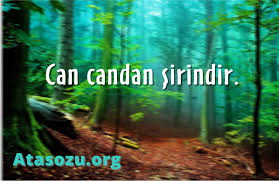 View the profiles of people named can candan. Can Candan Sirindir Atasozu Org