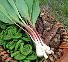 Check spelling or type a new query. Dinner In The Valley Wild Edible Feast Conservancy For Cuyahoga Valley National Park