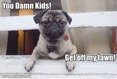 Old lady get off my lawn meme. 29 Get Off My Lawn Ideas Get Off My Lawn Bones Funny Get Off Me