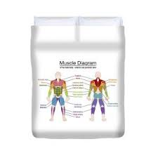 Help your child draw and label all the different organs, bones and muscle groups. Muscle Chart Female Body Colored Muscles Black Duvet Cover For Sale By Peter Hermes Furian