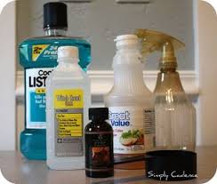 Simply Cadence Diy Bug Spray Diy Mosquito Repellent Diy Bug Spray Bug Spray