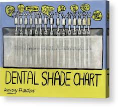 Dental Shade Chart Acrylic Print