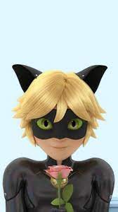 © 2020 cutewallpaper.org all rights reserved. Anime Ladybug And Cat Noir Wallpapers Wallpaper Cave