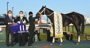 Ａｕｔｏ ｓｈｏｐ ｐｏｌｉｔｅ オートショップ ポライト からの返信. Xquuufg6nmonsm