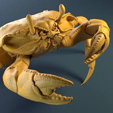 Crab Wip Pedro Pereira On Artstation At Https Www Artstation Com Artwork Va4kz Crab Crab Art Crustaceans