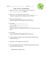 This worksheet contains information about flowers, their structure, the difference between male and female flowers and how flowers are used in plant reproduction. Flower Structure And Reproduction Report