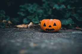 250 Beautiful Jack O Lantern Photos Pexels Free Stock Photos Spooky jackolantern, halloween free download image. 250 beautiful jack o lantern photos