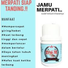 Anda penasaran, silahkan baca dan pahami artikel yang ada dibawah sini. Obat Jamu Burung Merpati Kolong Keket Pil Giring Dara Balap Dsm Shopee Indonesia