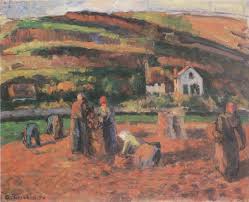 Les premiers tubercules, de forme irrégulière et aux bourgeons renfoncés, renfermaient une quantité importante d'un alcaloïde amer (la solanine), qui sera ensuite fortement éliminé par la domestication. Datei Camille Pissarro La Recolte Des Pommes De Terre 1874 Jpg Wikipedia
