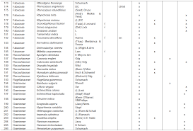 Image result for Homalium abdessammadii