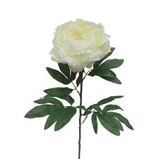 Browse our entire selection today. Peony Single Stem Cream Flower 74cm Home Store More