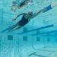 Nike Swim Camp at Nebraska Wesleyan University - ...