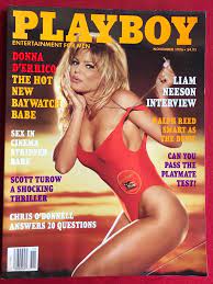 VTG Playboy Magazine Lot (1996) (Samantha Fox-Donna D'errico-Jenny  McCarthy) | eBay