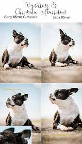 Pin On Photography Ideas And Tips