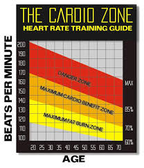 Healthy Fat Burning Heart Rate