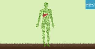 What S The Truth About Natural Cures For Hepatitis C