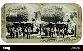 Bombay 1900 hi-res stock photography ...