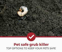 Find details on iron toxicity in dogs including diagnosis and symptoms, pathogenesis, prevention, treatment, prognosis and more. Top 5 Best Pet Safe Killer For Grubs 2021 Review