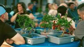 Bonsai & Brews at Crooked Thumb Brewery