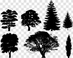 Leave a small gap in this line toward the middle. Tree Silhouette Drawing Clip Art Christmas Forest Transparent Png
