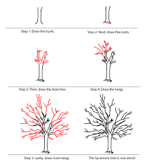 How To Draw A Tree Step By Step Image Guides Tree Drawing Simple Trees Drawing Tutorial Tree Drawing