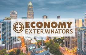 Hometeam pest defense in charlotte, north carolina: Charlotte Pest Control Charlotte Exterminator Economy Exterminators