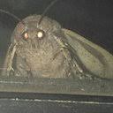 Once you unlock the d6, isaac will always start with it giving him a. Como Desbloqueo El Wooden Nickel Para The Keeper The Binding Of Isaac Amino Amino