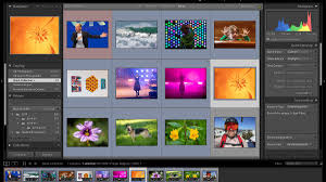 Do you see the differences? Why Adobe S Versions Of Lightroom Don T Get Along And Why That S A Drag Cnet
