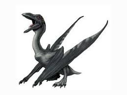 Pterodactylus Jurassic Park Wiki Fandom Show your love for owen gradys (chris pratt) raptor squad with this! pterodactylus jurassic park wiki fandom