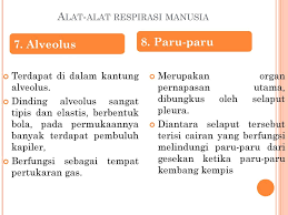 Sistem Pernapasan Pada Manusia Ppt Download
