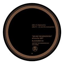 Image result for blackqirex