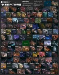 Maybe you would like to learn more about one of these? Since R Ark Seemed To Enjoy Dododex S Scientific Dino Names I Made A Full List Of The Names Ark