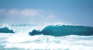 We are listed on the oslo stock exchange (ose). Brands Atlantic Sapphire