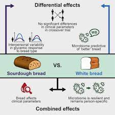 What foods have low glycemic index? Bread Affects Clinical Parameters And Induces Gut Microbiome Associated Personal Glycemic Responses Sciencedirect