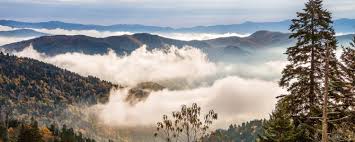 Best Camping In And Near Great Smoky Mountains National Park The trails are well maintained and there is a significant increase in elevation. great smoky mountains national park