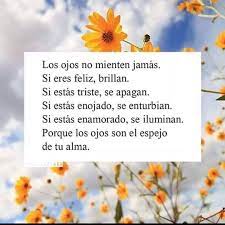 Lalocuradelcorazon Unapizcadelocura Aloha Efectopositivo Piensaenpositivo Siempr Imagenes De Fondo Whatsapp Frases De Felicidad Frases Y Poemas