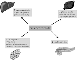 Image result for Systemic Corticosteroid