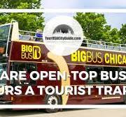 Big Bus Chicago - Are These Open Top Bus Tours Tourist Traps? We Hop-On to  find out!