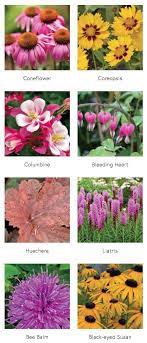 49 Midwest Native Perennials Www Jeffreyalans Com Flowers Perennials Landscaping Plants Perennials