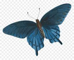 With tenor, maker of gif keyboard, add popular butterfly animated gifs to your conversations. Butterfly Flying Gif Png Transparent Png Vhv