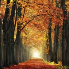 We did not find results for: Nature Canvas Wall Art Icanvas