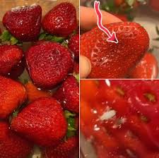 What are white wiggling things in strawberries soaked in ...
