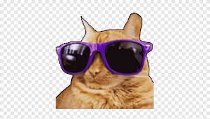The emote can be used by viewers as a reaction to a streamer. Riz Osebnost Poslastica Cat With Sunglasses Socialmediathon Org