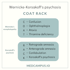 Wernicke Korsakoff Syndrome Medcampus