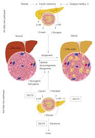 Rise Of Sodium Glucose Cotransporter 2 Inhibitors In The
