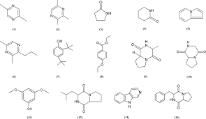 Maybe you would like to learn more about one of these? Streptomyces Monashensis Sp Nov A Novel Mangrove Soil Actinobacterium From East Malaysia With Antioxidative Potential Scientific Reports