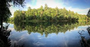 See more of friends of chenango valley state park on facebook. Midday At Chenango Valley State Park In Chenango Forks Ny Usa 2017 1920x1080 Oc Earthporn