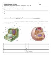 We did not find results for: T04 Plant And Animal Cell Structures Docx Plant And Animal Cell Structures Adapted From Nelson Science Perspectives 10 Section 2 1 Pp 29 32 Date The Course Hero