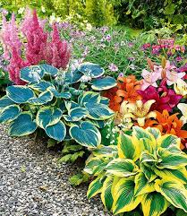 Staudenbeet Blatt Blutenschmuck Blumen Anbauen Staudengarten Pflanzen Schatten